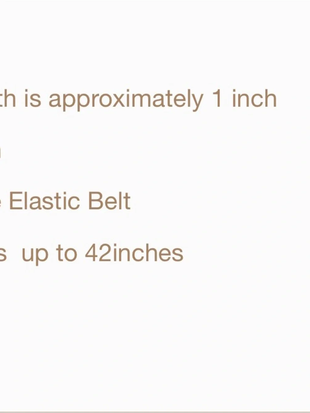 CHANEL Black  Belt with Gold Double C Logos STAINLESS STEEL NEVER TARNISH